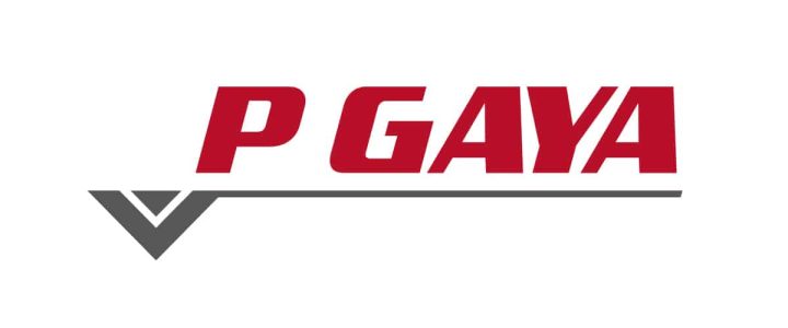 logo P GAYA positivo